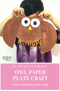 Owl Paper Plate CraftPIN